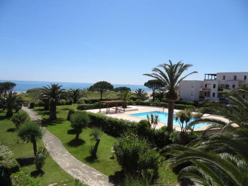 une vue aérienne d'un complexe avec piscine et palmiers dans l'établissement SAIT CYPRIEN VUE MER résidence avec piscine, à Saint-Cyprien