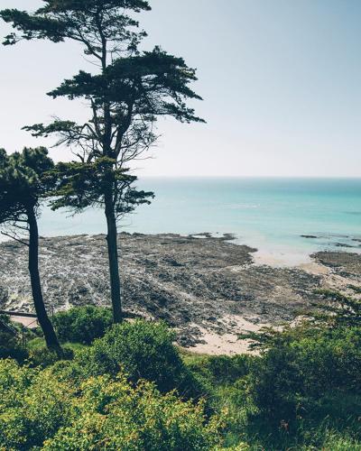 two trees on a beach near the ocean at Maison rénovée dans le bocage Normand avec jacuzzi in Canisy