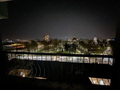 Central City Park Panorama View