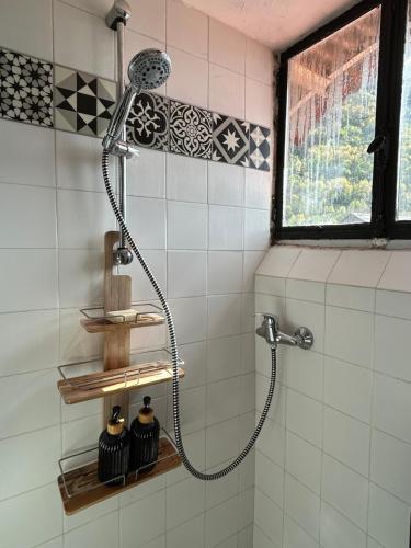 een douche met een douchekop in een badkamer bij Escapade en Montagne, 3 pers in Saint-Étienne-de-Tinée