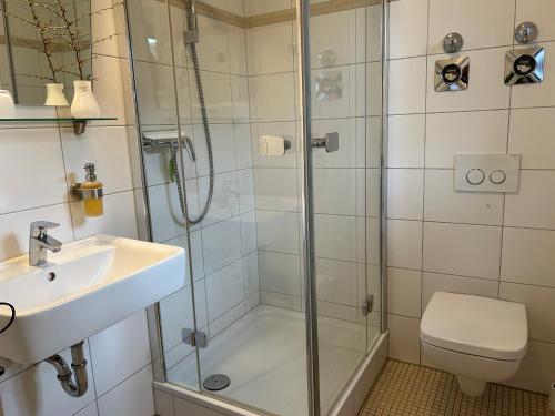 ein Bad mit einer Dusche, einem Waschbecken und einem WC in der Unterkunft Ferienwohnung RUNWAY in Regensburg am Rennweg mit Parkplatz in Regensburg