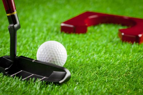 a golf club and a golf ball on the grass at Backpacker's Nest in Amritsar