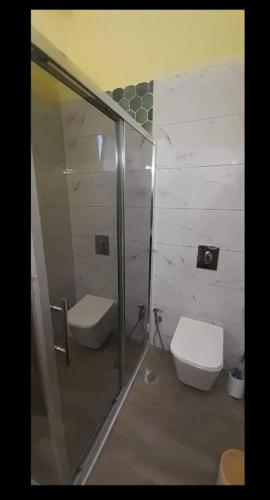 a bathroom with a toilet and a glass shower stall at Amethyst in Kos