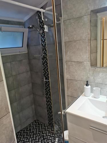 une salle de bain avec douche et lavabo dans l'établissement Studio Cannes centre, à Cannes