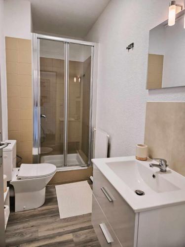 a bathroom with a toilet and a sink and a shower at Studio calme avec jardin in Canet-en-Roussillon
