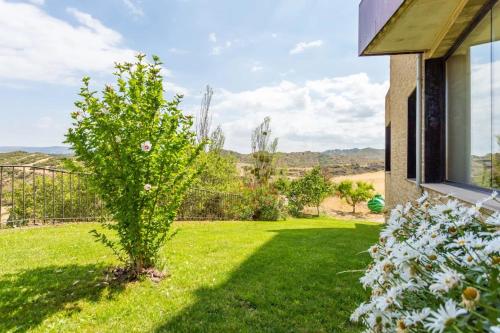 a small tree in the yard of a house at Hotel Alda Triskel in Sos del Rey Católico
