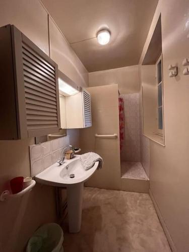 une petite salle de bain avec un lavabo et une douche dans l'établissement Demeure Familiale du 19ème Siècle, à Bram