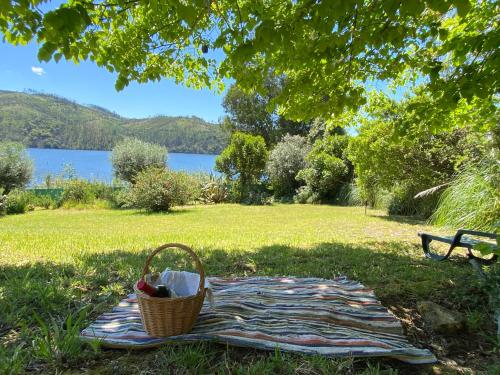 a picnic blanket with a basket of fruit and a bench at Casa do Lago in Tomar