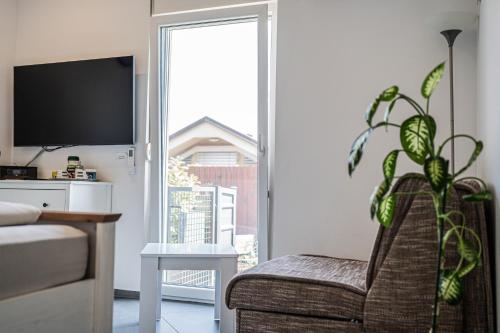 a living room with a chair and a plant at Perfect stay in Šentilj