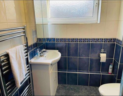 a bathroom with a sink and a toilet at Beautiful One Bedroom Flat in London in Woodford Green