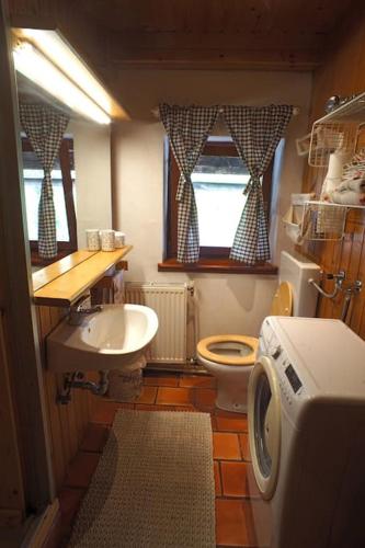 a small bathroom with a sink and a washing machine at River House Mojstrana in Mojstrana