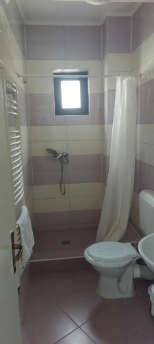 Un baño con inodoro, ducha y lavabo. en Apartamente 9 Sofia, en Băile Felix