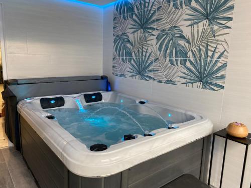 Cette chambre dispose d'une grande baignoire. dans l'établissement Gite Thym spa au coeur d'une oliveraie des Corbières, à Saint-Jean-de-Barrou