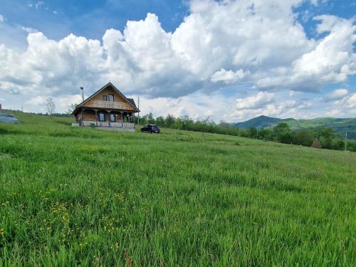 una casa en una colina en un campo de hierba en Casa bunicilor din Oncești, en Onceşti