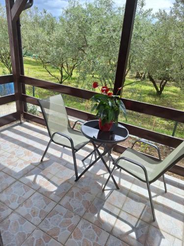 Foto dalla galleria di Apartmani Ulivi a Izola