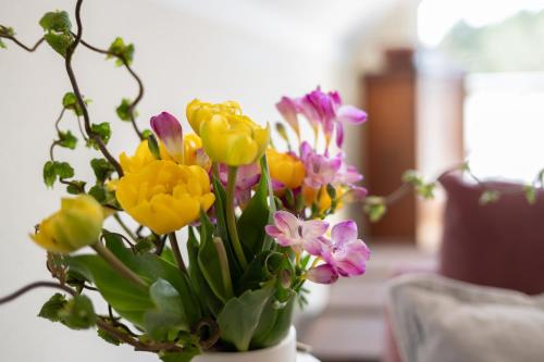 Φωτογραφία από το άλμπουμ του Ferienwohnung Dünenrose σε Born