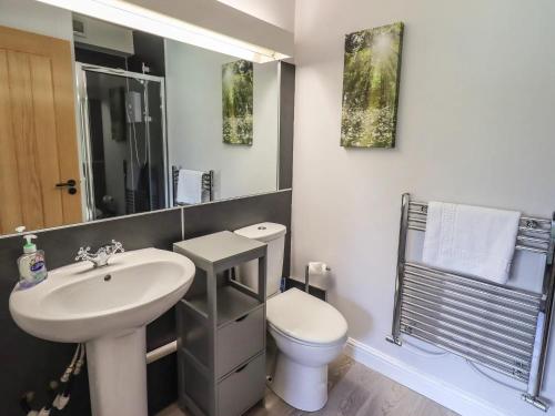 a bathroom with a sink and a toilet and a mirror at Mallard Cottage Lake District, Leisure Spa Pool & Gym in Penruddock