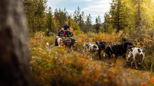 Un uomo e una donna che cavalcano un cavallo con un gruppo di cani di Fýri Resort a Hemsedal