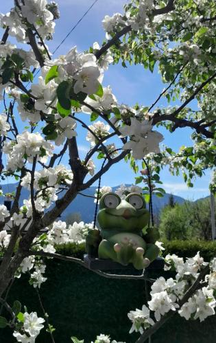 a frog sitting on a swing in a tree with flowers at Appartment Herzblick in Sankt Georgen im Gailtal