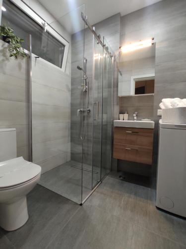 een badkamer met douche, toilet en wastafel bij Studio Tabacariei in Constanţa