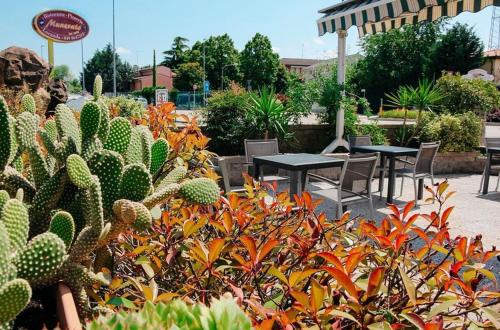 Κήπος έξω από το Locanda Munerato