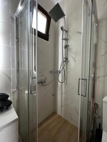 a shower with a glass door in a bathroom at Naiades Villas Lilea in Ladharió