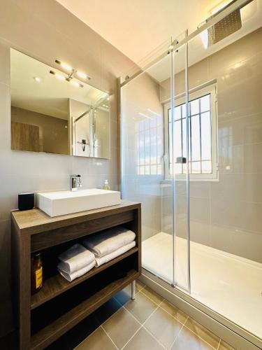 une salle de bain avec un lavabo et une douche dans l'établissement Appartement en hyper centre d'Arles, à Arles