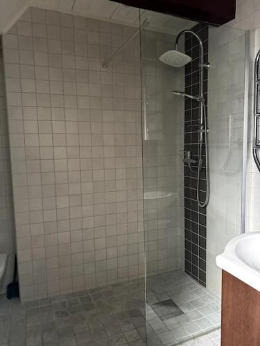 a shower with a glass door in a bathroom at Historisk takvåning i gamla stan in Stockholm