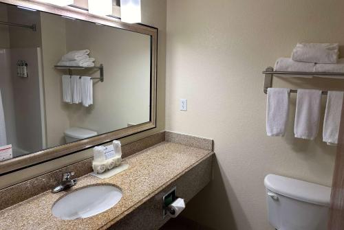 a bathroom with a sink and a mirror and a toilet at Wingate by Wyndham Newell in Newell
