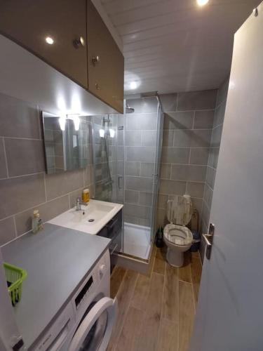 une salle de bain avec toilettes, lavabo et douche dans l'établissement Magnifique Studio grande terrasse 50 m de la plage, à Lacanau-Océan