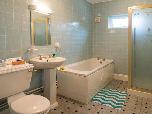 a bathroom with a tub and a sink and a toilet at Llainfawr Cottage Apartment Fishguard in Letterston