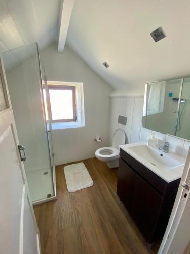 a bathroom with a sink and a toilet and a shower at Casa do Avô Grande in Esposende