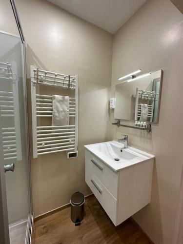 une salle de bain avec un lavabo blanc et une douche dans l'établissement Parisian Stay in a Cosy Flat - République, à Paris