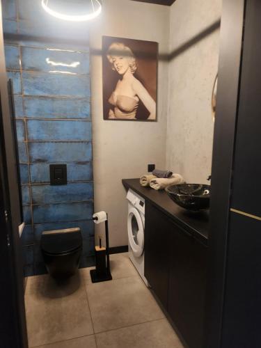 La salle de bains est pourvue de toilettes, d'un lavabo et d'un lave-linge. dans l'établissement A charming loft in the heart of KRAKÓW with free parking, à Cracovie