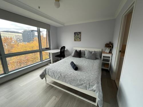 1 dormitorio con 1 cama, escritorio y ventanas en Private room with ensuite in the CBD en Canberra
