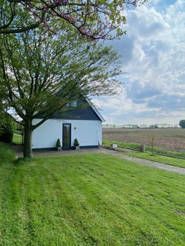 a white barn with a tree in a field at Guesthouse The White House - gehele huisje in Klaaswaal