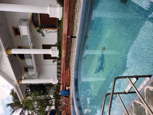 an overhead view of a pool with a person swimming at SULANG Villa ECR chennai in Chennai