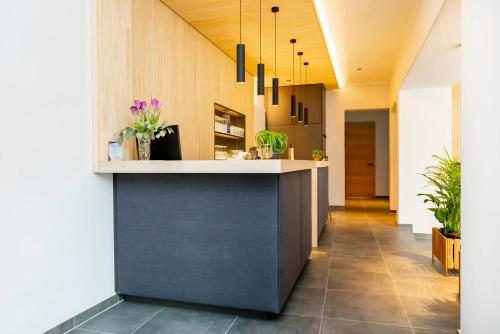 an office lobby with a reception counter with potted plants at Zum Lenz in Langau