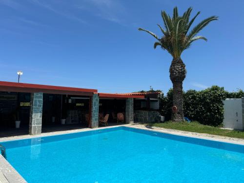 a swimming pool in front of a house with a palm tree at Zac & Georgio Studios in Amoudara Herakliou