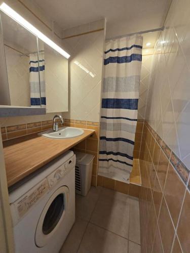 une salle de bain avec une machine à laver et un lavabo dans l'établissement Cap d'Agde proche port et plage, au Cap d'Agde