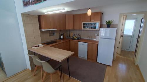 Kuhinja oz. manjša kuhinja v nastanitvi Studio Sofija