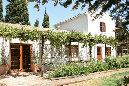 una vieja casa blanca con vides creciendo en ella en Boerfontein, en Windmeul