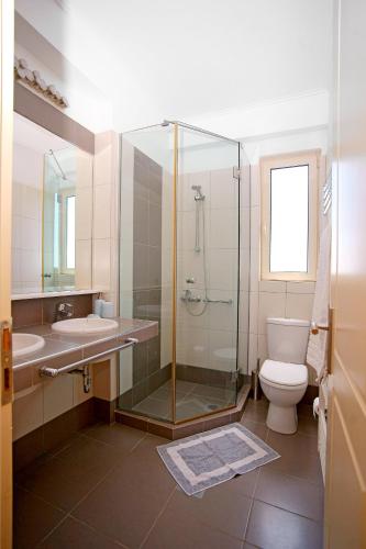 a bathroom with a shower and a toilet and a sink at Dimitras Villas in Kalón Nerón