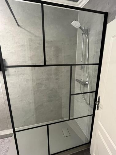 a shower with a glass door in a bathroom at STADtPERLE in Itzehoe