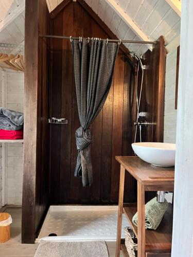 a bathroom with a sink and a shower at La Naomath - Maison d'hôtes, Hébergement insolite & Gîte in Bayeux