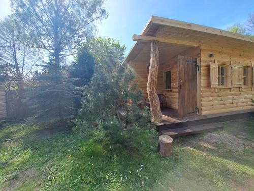 a small wooden cabin in a yard with a tree at Siedlisko nad Jeziorem-Mazury in Mrągowo