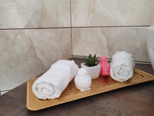 a tray with two rolled towels and a plant at Villa Bellevue in Vis