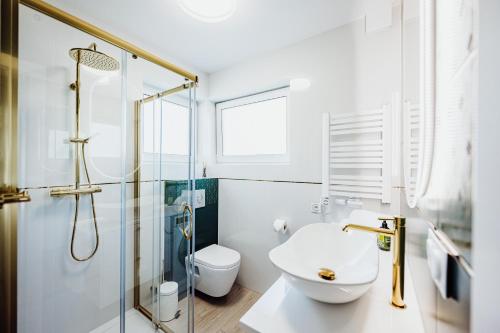 a bathroom with a shower and a toilet and a sink at Luksusowe apartamenty przyjazne dla rodzin - zwierzęta akceptowane - budynek A in Podgórzyn