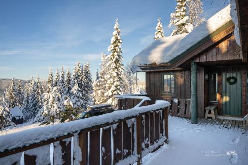 a cabin in the snow with snow covered trees at Nesfjellet in Nes i Ådal