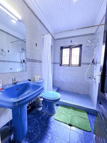 a bathroom with a blue toilet and a sink at Villa Ella in Mombasa